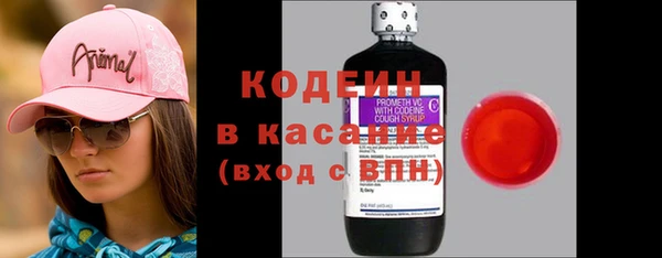 шишки Лагань