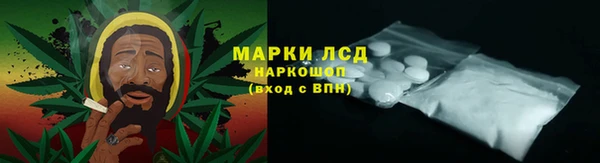 шишки Лагань
