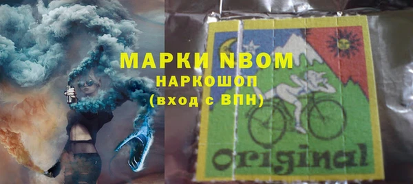 шишки Лагань